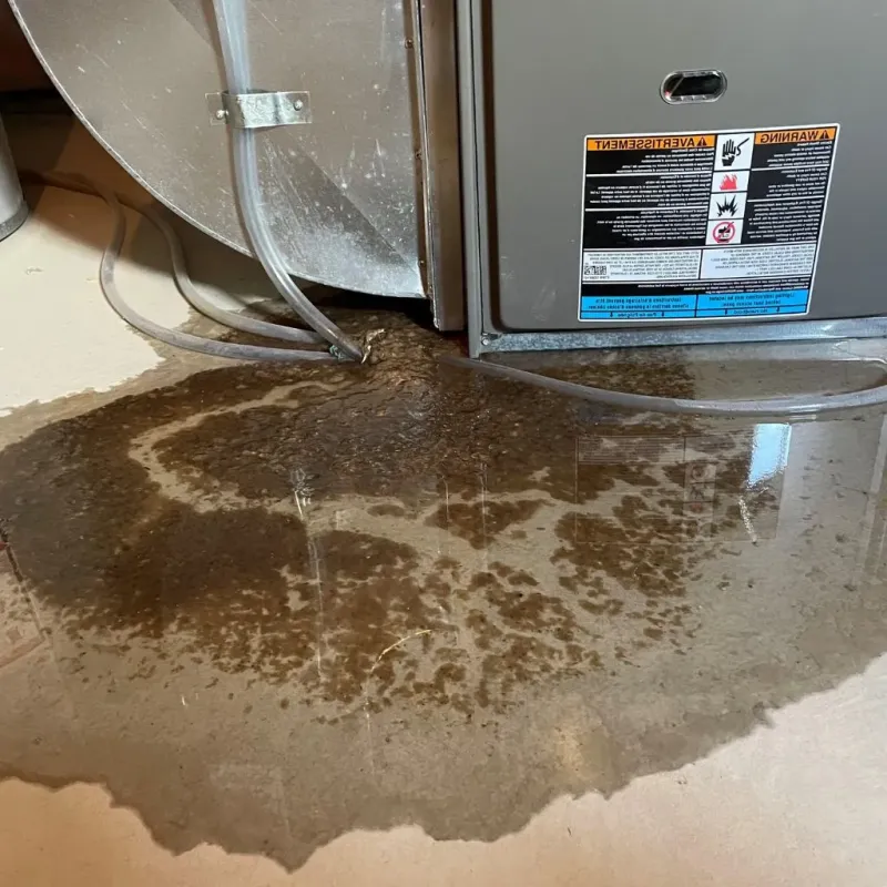 Pipe Burst and Leak Restoration in Austintown, OH