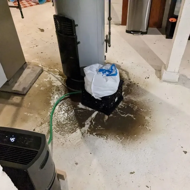 Sewage Backup Cleanup Service in Austintown, OH